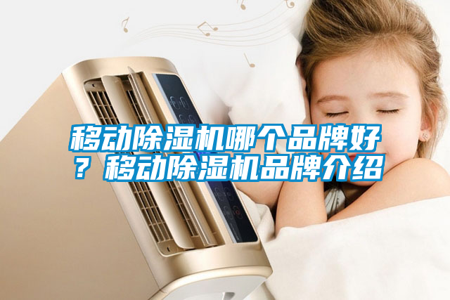 移動除濕機哪個品牌好？移動除濕機品牌介紹