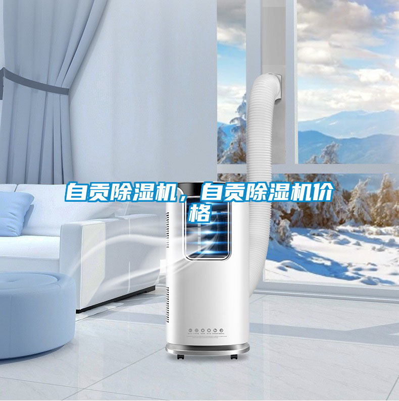 自貢除濕機(jī)，自貢除濕機(jī)價(jià)格