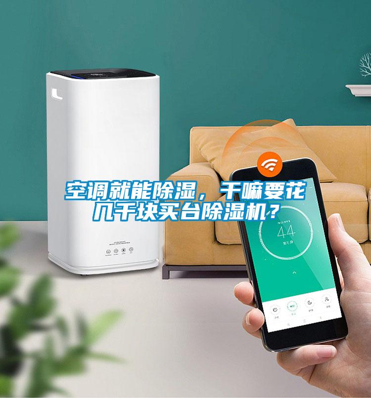 空調(diào)就能除濕，干嘛要花幾千塊買臺除濕機(jī)？