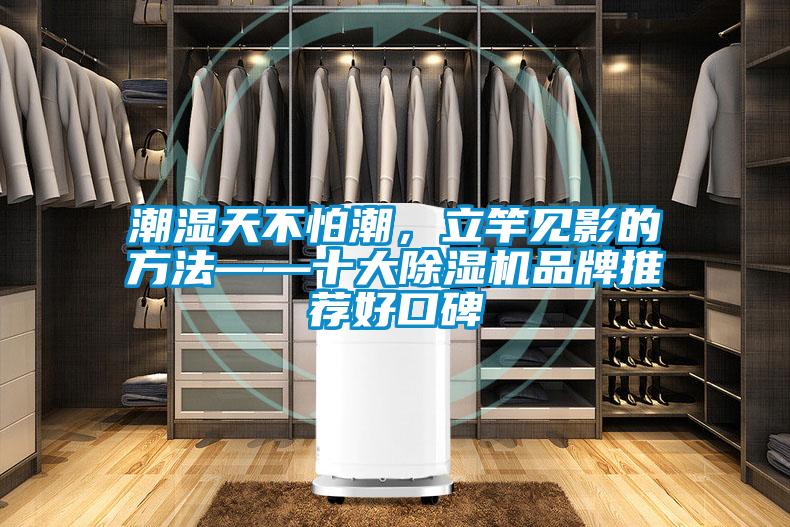 潮濕天不怕潮，立竿見(jiàn)影的方法——十大除濕機(jī)品牌推薦好口碑
