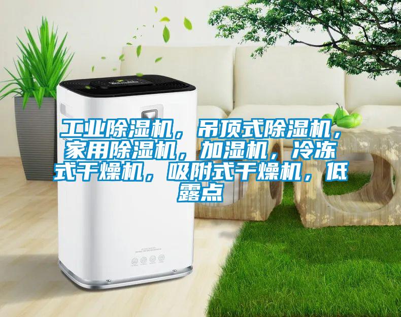工業(yè)除濕機(jī)，吊頂式除濕機(jī)，家用除濕機(jī)，加濕機(jī)，冷凍式干燥機(jī)，吸附式干燥機(jī)，低露點