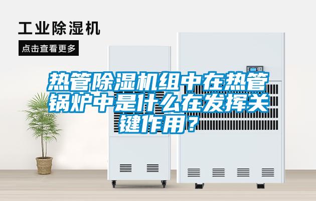 熱管除濕機(jī)組中在熱管鍋爐中是什么在發(fā)揮關(guān)鍵作用？