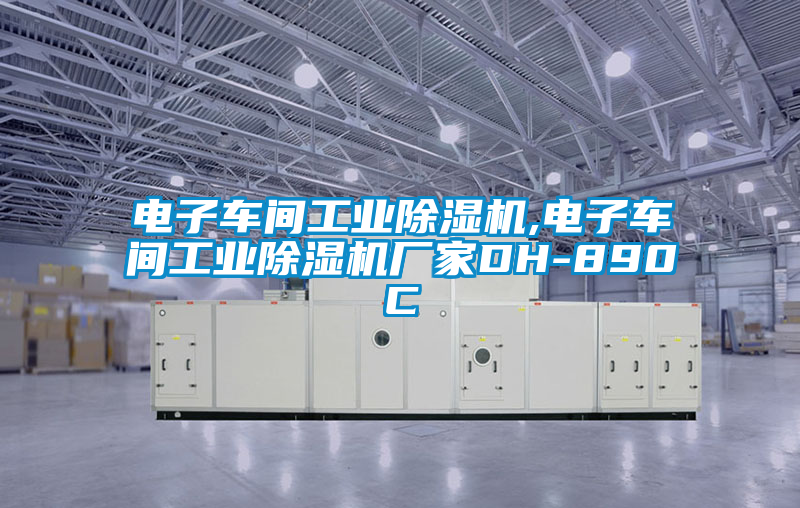 電子車間工業(yè)除濕機,電子車間工業(yè)除濕機廠家DH-890C