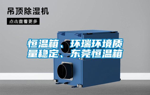 恒溫箱、環(huán)瑞環(huán)境質量穩(wěn)定、東莞恒溫箱