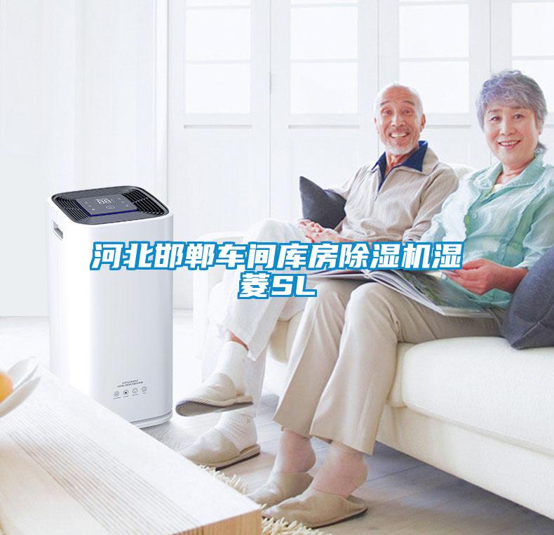 河北邯鄲車間庫(kù)房除濕機(jī)濕菱SL