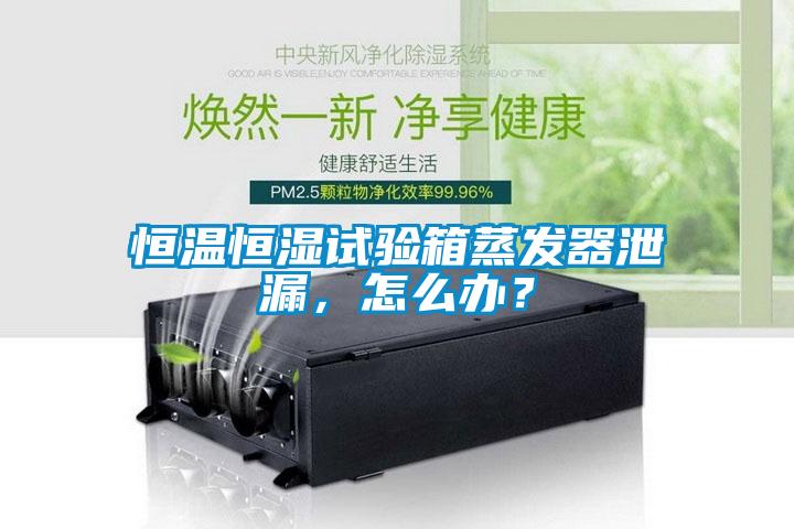 恒溫恒濕試驗箱蒸發(fā)器泄漏，怎么辦？