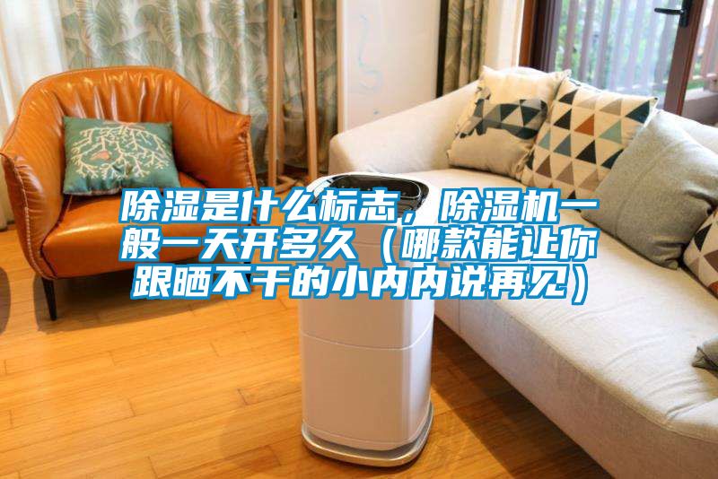 除濕是什么標志，除濕機一般一天開多久（哪款能讓你跟曬不干的小內(nèi)內(nèi)說再見）