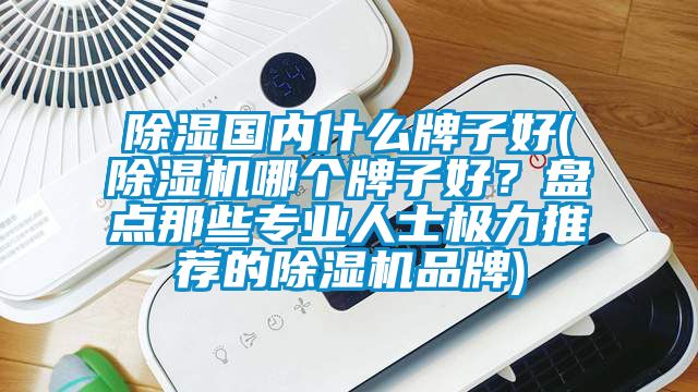 除濕國內(nèi)什么牌子好(除濕機(jī)哪個(gè)牌子好？盤點(diǎn)那些專業(yè)人士極力推薦的除濕機(jī)品牌)