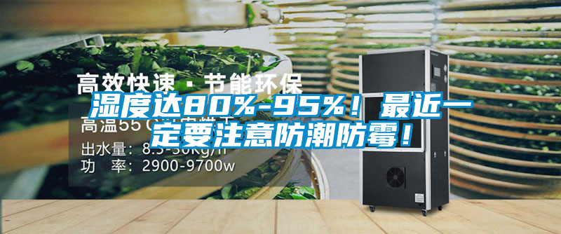 濕度達80%-95%！最近一定要注意防潮防霉！
