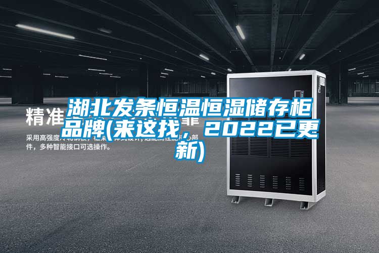湖北發(fā)條恒溫恒濕儲存柜品牌(來這找，2022已更新)