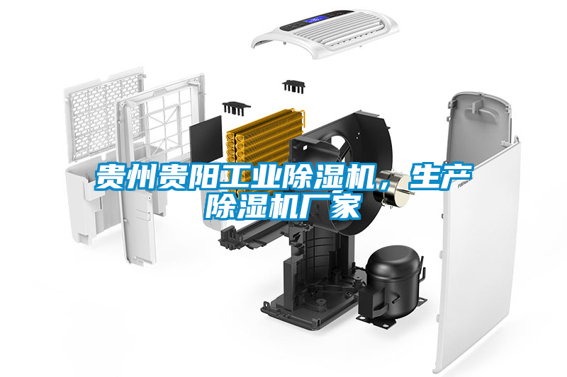 貴州貴陽工業(yè)除濕機(jī)，生產(chǎn)除濕機(jī)廠家