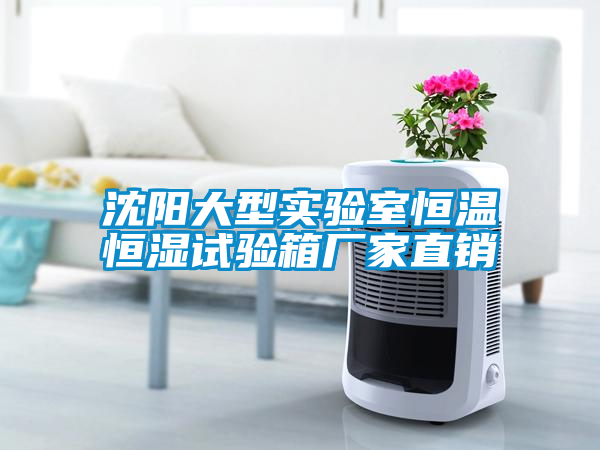沈陽(yáng)大型實(shí)驗(yàn)室恒溫恒濕試驗(yàn)箱廠家直銷
