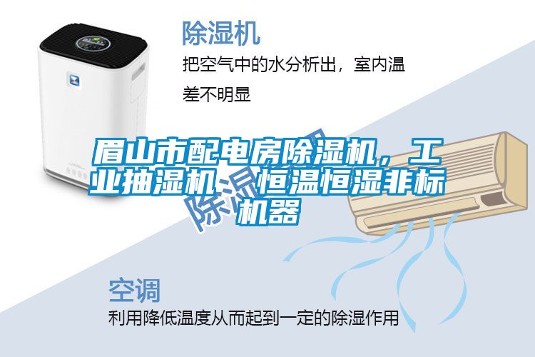 眉山市配電房除濕機，工業(yè)抽濕機  恒溫恒濕非標機器