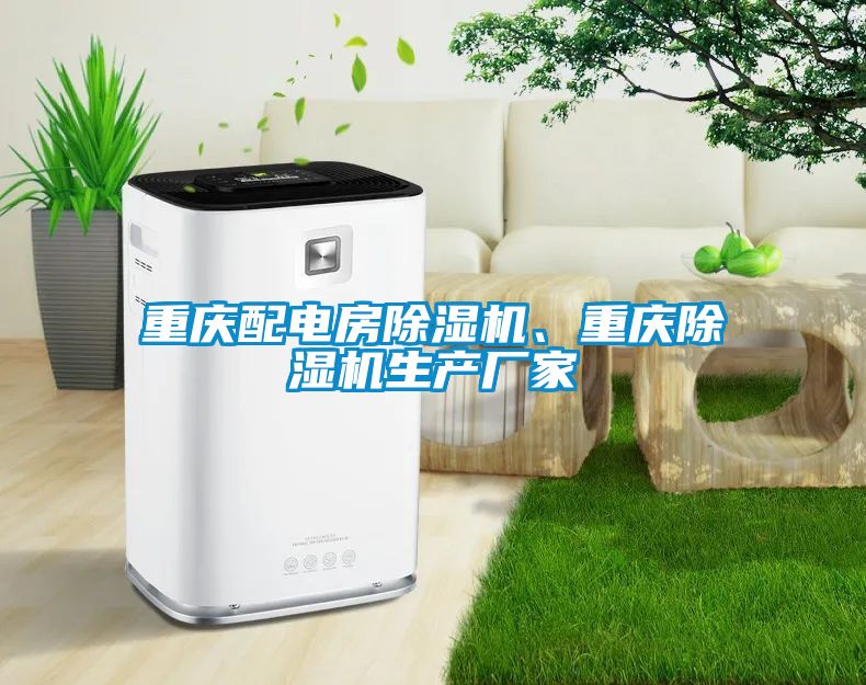 重慶配電房除濕機(jī)、重慶除濕機(jī)生產(chǎn)廠家