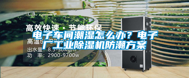 電子車間潮濕怎么辦？電子廠工業(yè)除濕機防潮方案