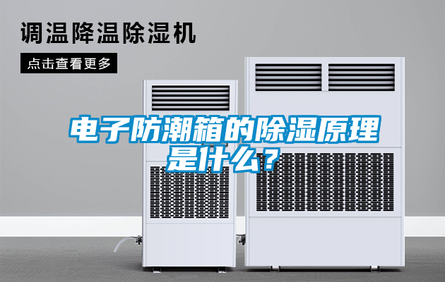 電子防潮箱的除濕原理是什么？