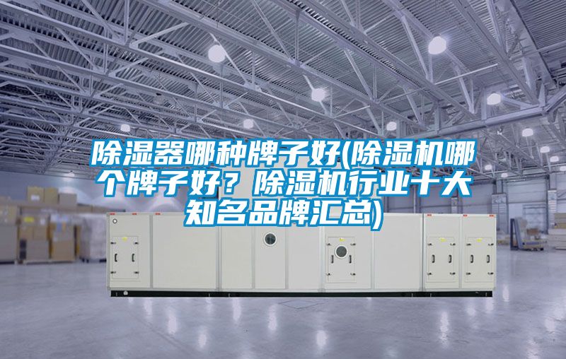 除濕器哪種牌子好(除濕機(jī)哪個(gè)牌子好？除濕機(jī)行業(yè)十大知名品牌匯總)