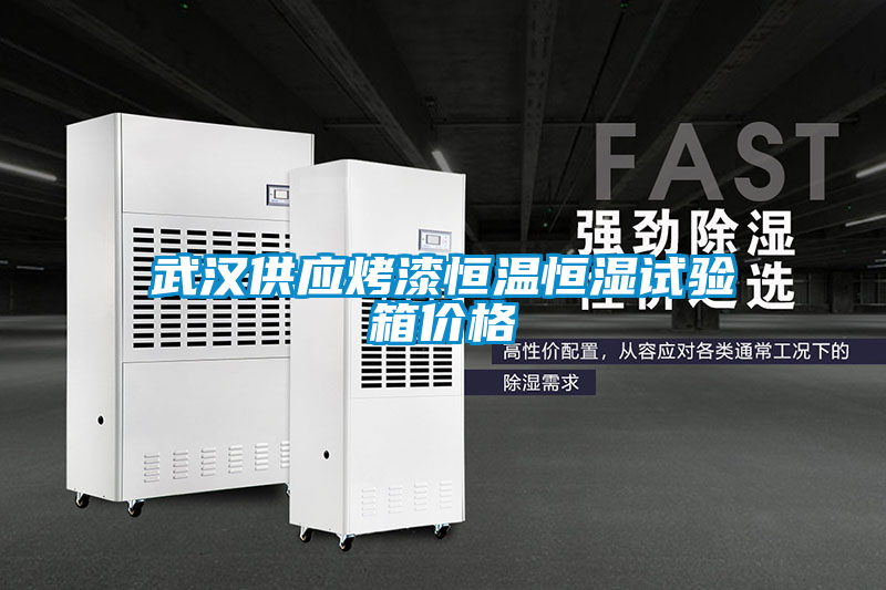 武漢供應(yīng)烤漆恒溫恒濕試驗(yàn)箱價(jià)格