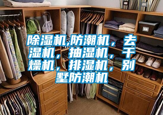 除濕機(jī),防潮機(jī)，去濕機(jī)，抽濕機(jī)，干燥機(jī)，排濕機(jī)，別墅防潮機(jī)