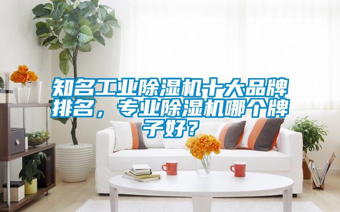 知名工業(yè)除濕機(jī)十大品牌排名，專(zhuān)業(yè)除濕機(jī)哪個(gè)牌子好？