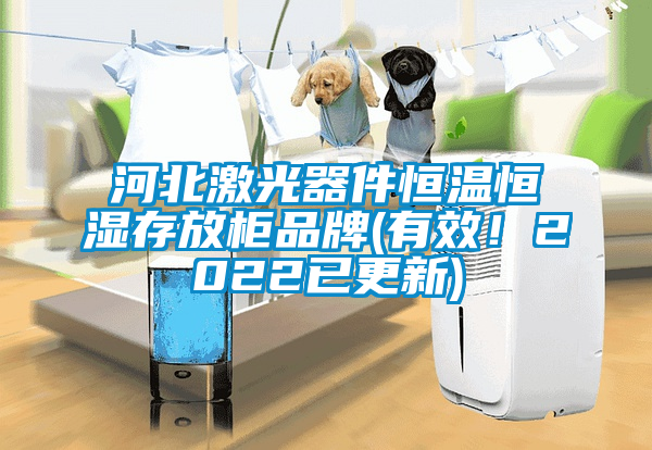 河北激光器件恒溫恒濕存放柜品牌(有效！2022已更新)