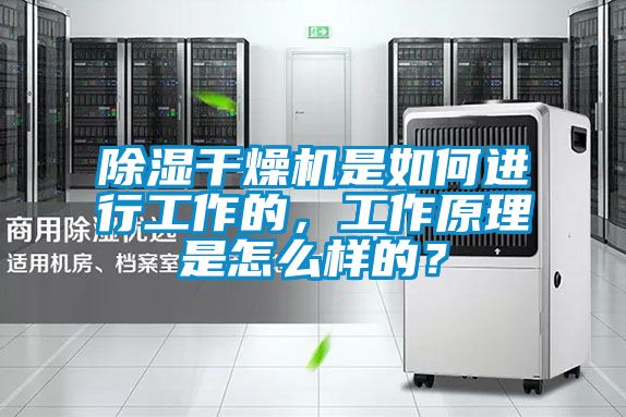 除濕干燥機(jī)是如何進(jìn)行工作的，工作原理是怎么樣的？
