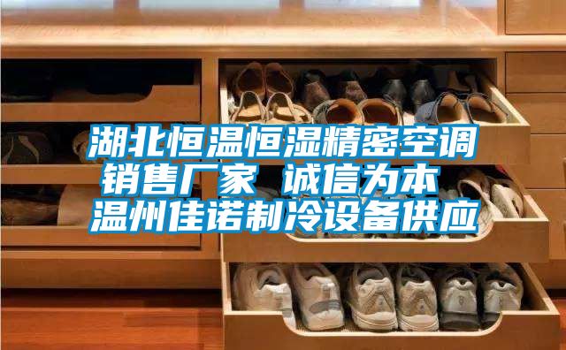湖北恒溫恒濕精密空調(diào)銷售廠家 誠信為本 溫州佳諾制冷設(shè)備供應