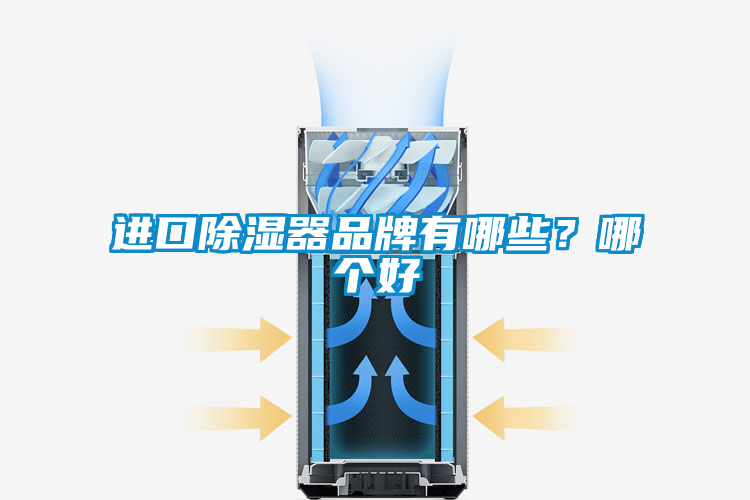 進(jìn)口除濕器品牌有哪些？哪個(gè)好