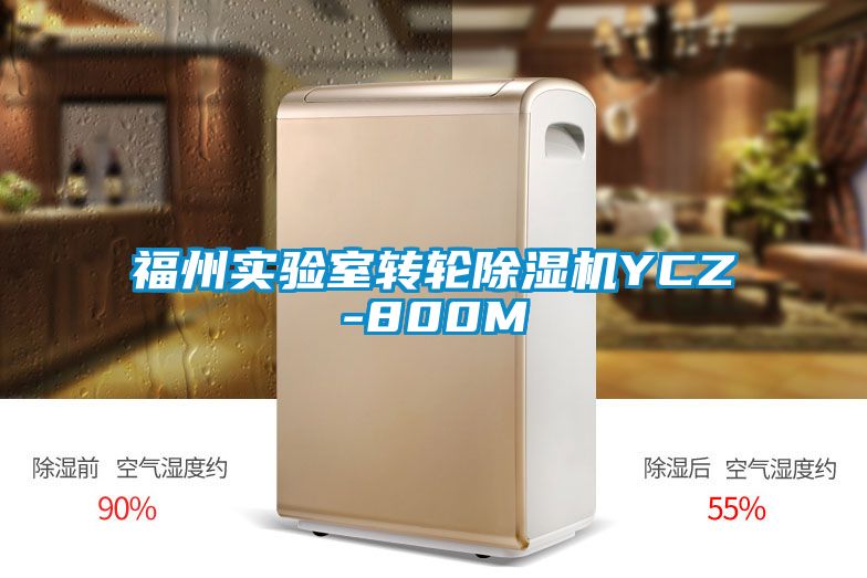 福州實驗室轉(zhuǎn)輪除濕機(jī)YCZ-800M
