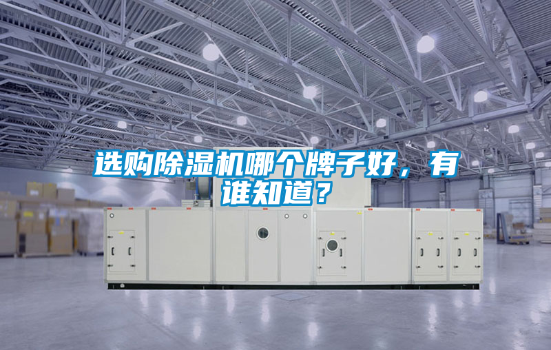 選購(gòu)除濕機(jī)哪個(gè)牌子好，有誰(shuí)知道？