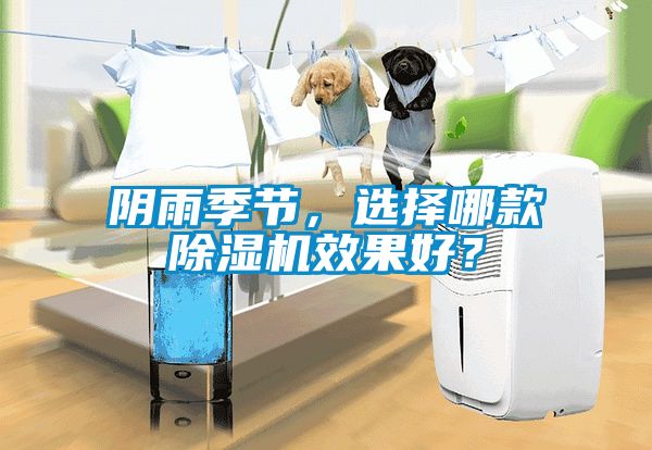 陰雨季節(jié)，選擇哪款除濕機(jī)效果好？