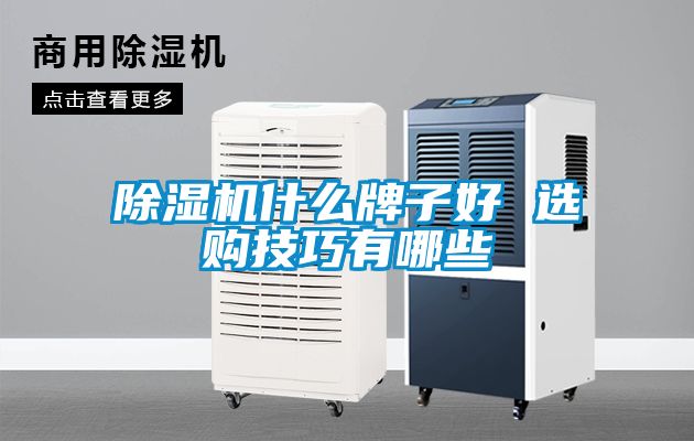除濕機(jī)什么牌子好 選購(gòu)技巧有哪些
