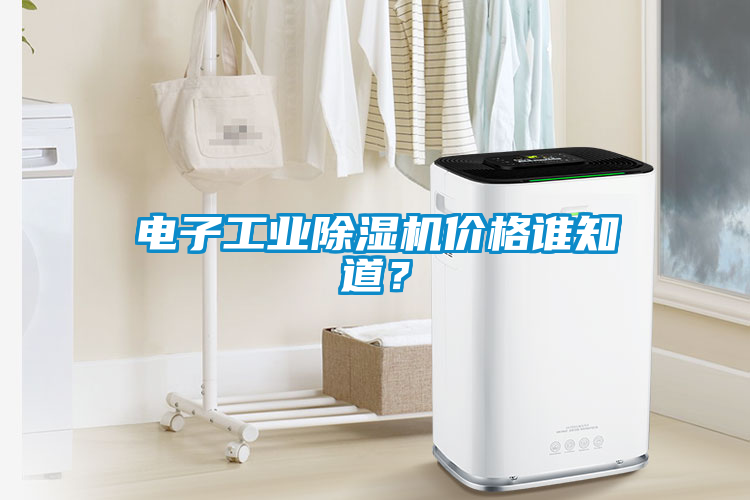 電子工業(yè)除濕機價格誰知道？