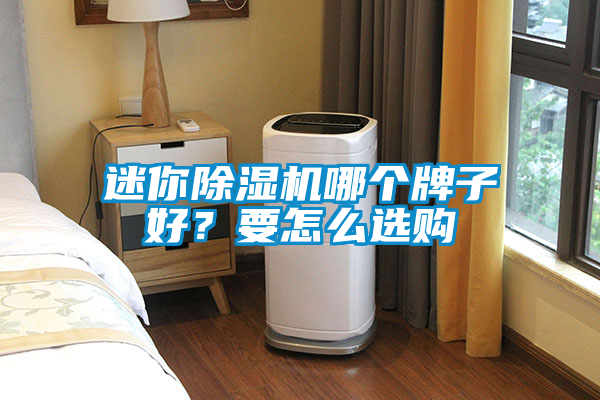 迷你除濕機(jī)哪個(gè)牌子好？要怎么選購(gòu)