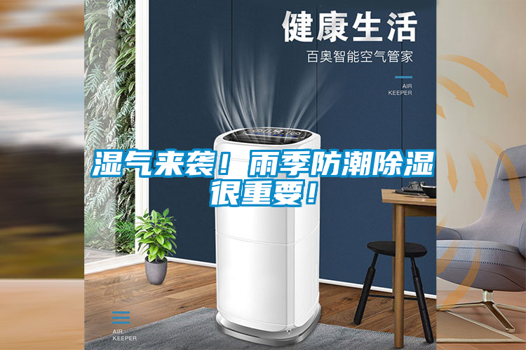 濕氣來襲！雨季防潮除濕很重要！