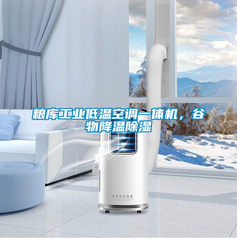 糧庫(kù)工業(yè)低溫空調(diào)一體機(jī)，谷物降溫除濕