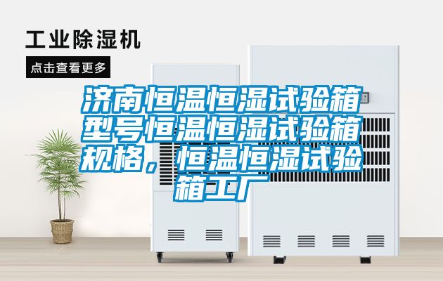 濟(jì)南恒溫恒濕試驗(yàn)箱型號(hào)恒溫恒濕試驗(yàn)箱規(guī)格，恒溫恒濕試驗(yàn)箱工廠