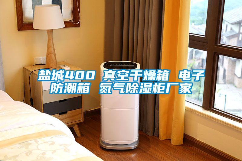 鹽城400℃真空干燥箱 電子防潮箱 氮?dú)獬凉窆駨S(chǎng)家