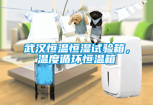 武漢恒溫恒濕試驗(yàn)箱，溫度循環(huán)恒溫箱