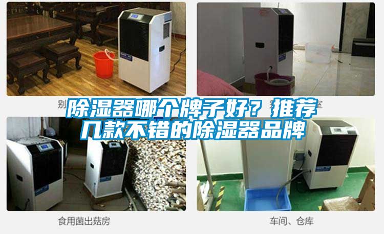 除濕器哪個牌子好？推薦幾款不錯的除濕器品牌