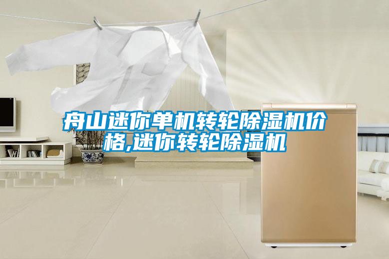 舟山迷你單機(jī)轉(zhuǎn)輪除濕機(jī)價格,迷你轉(zhuǎn)輪除濕機(jī)