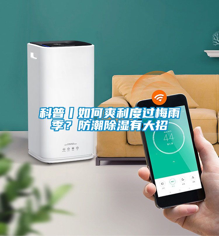 科普丨如何爽利度過(guò)梅雨季？防潮除濕有大招
