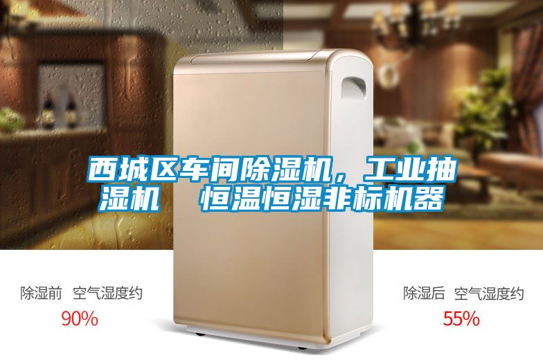 西城區(qū)車間除濕機，工業(yè)抽濕機  恒溫恒濕非標機器