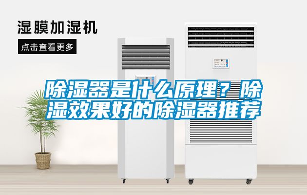 除濕器是什么原理？除濕效果好的除濕器推薦
