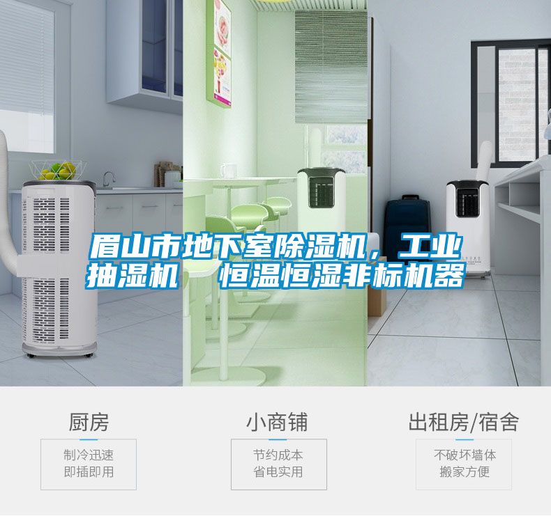 眉山市地下室除濕機，工業(yè)抽濕機  恒溫恒濕非標機器