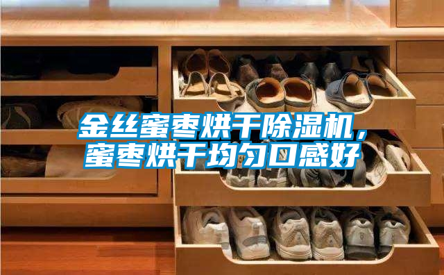 金絲蜜棗烘干除濕機，蜜棗烘干均勻口感好
