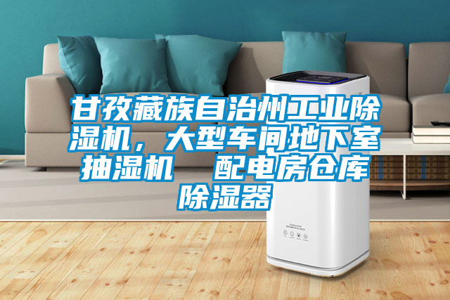 甘孜藏族自治州工業(yè)除濕機，大型車間地下室抽濕機  配電房倉庫除濕器