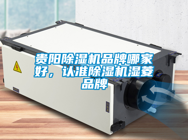 貴陽除濕機(jī)品牌哪家好，認(rèn)準(zhǔn)除濕機(jī)濕菱品牌