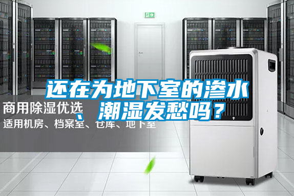 還在為地下室的滲水、潮濕發(fā)愁嗎？