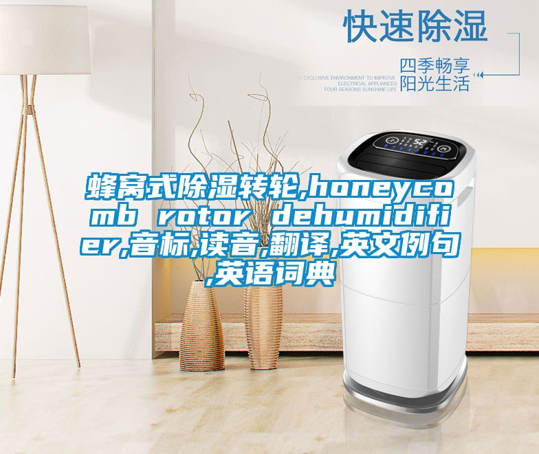 蜂窩式除濕轉(zhuǎn)輪,honeycomb rotor dehumidifier,音標(biāo),讀音,翻譯,英文例句,英語(yǔ)詞典